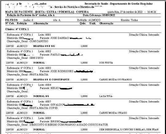 exemplo do relatório mapa das copeiras para pacientes impresso